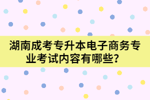 湖南成考專升本電子商務(wù)專業(yè)考試內(nèi)容有哪些？