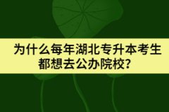 為什么每年湖北專升本考生都想去公辦院校？