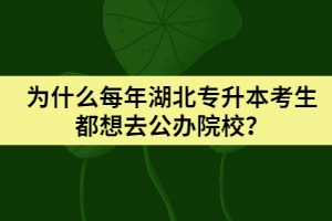 為什么每年湖北專升本考生都想去公辦院校？
