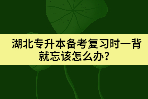 湖北專升本備考復習時一背就忘該怎么辦?