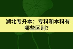 湖北專升本：?？坪捅究朴心男﹨^(qū)別？