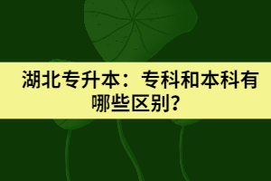 湖北專升本：?？坪捅究朴心男﹨^(qū)別？
