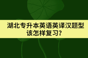 湖北專升本英語英譯漢題型該怎樣復習?