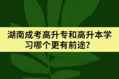 湖南成考高升專和高升本學(xué)習(xí)哪個更有前途？