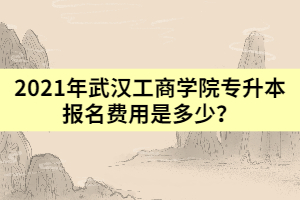 2021年武漢工商學(xué)院專升本報(bào)名費(fèi)用是多少？