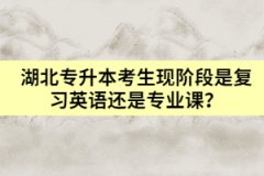 湖北專升本考生現(xiàn)階段是復(fù)習(xí)英語還是專業(yè)課？