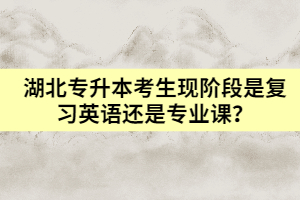 湖北專升本考生現(xiàn)階段是復(fù)習(xí)英語還是專業(yè)課？