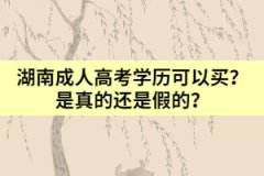 湖南成人高考學(xué)歷可以買？是真的還是假的？