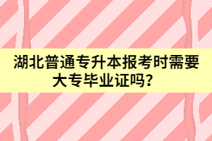 湖北普通專升本報(bào)考時(shí)需要大專畢業(yè)證嗎？