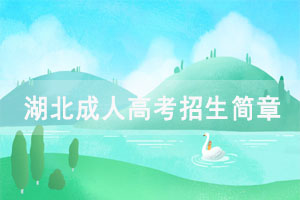 2021年武漢工程大學(xué)成人高考招生簡(jiǎn)章