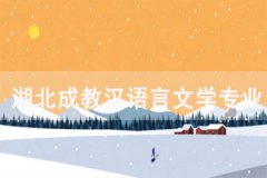 湖北成教漢語言文學專業(yè)將來可以做什么工作？