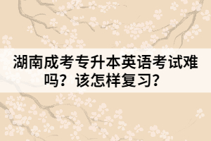 湖南成考專升本英語考試難嗎？該怎樣復(fù)習(xí)？