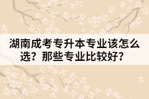 湖南成考專升本專業(yè)該怎么選？那些專業(yè)比較好？