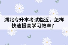湖北專升本考試臨近，怎樣快速提高學(xué)習(xí)效率？