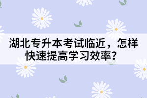 湖北專升本考試臨近，怎樣快速提高學(xué)習(xí)效率？