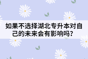 如果不選擇湖北專升本對自己的未來會有影響嗎？