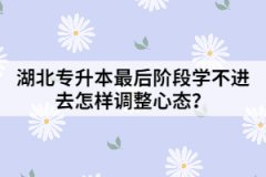 湖北專升本最后階段學(xué)不進(jìn)去怎樣調(diào)整心態(tài)？