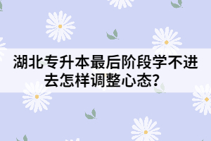 湖北專升本最后階段學(xué)不進去怎樣調(diào)整心態(tài)？
