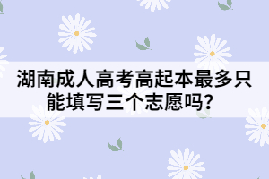 湖南成人高考高起本最多只能填寫(xiě)三個(gè)志愿嗎？