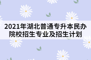 2021年湖北普通專升本民辦院校招生專業(yè)及招生計(jì)劃