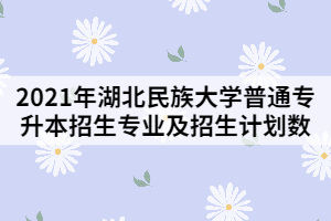 2021年湖北民族大學(xué)普通專升本招生專業(yè)及招生計劃數(shù)