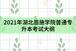 2021年湖北恩施學院普通專升本《C語言程序設計》考試大綱