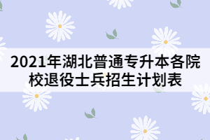 2021年湖北普通專升本各院校退役士兵招生計(jì)劃表