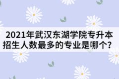 2021年武漢東湖學(xué)院專升本招生人數(shù)最多的專業(yè)是哪個？
