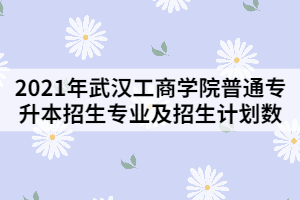 2021年武漢工商學(xué)院普通專升本招生專業(yè)及招生計劃數(shù)