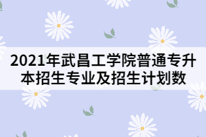 2021年武昌工學院普通專升本招生專業(yè)及招生計劃數(shù)