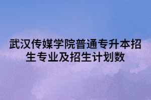 2021年武漢傳媒學院普通專升本招生專業(yè)及招生計劃數(shù)