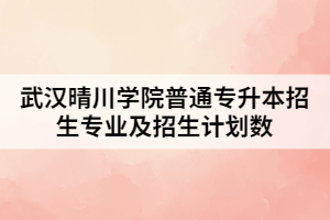 2021年武漢晴川學院普通專升本招生專業(yè)及招生計劃數(shù)