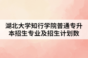2021年湖北大學知行學院普通專升本招生專業(yè)及招生計劃數(shù)
