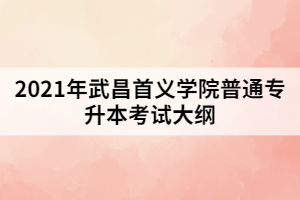 2021年武昌首義學院普通專升本《會計學原理》考試大綱