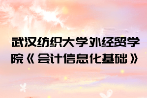 2021年武漢紡織大學外經(jīng)貿(mào)學院普通專升本《會計信息化基礎(chǔ)》考試大綱
