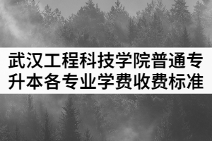 2021年武漢工程科技學(xué)院普通專升本各專業(yè)學(xué)費收費標(biāo)準(zhǔn)