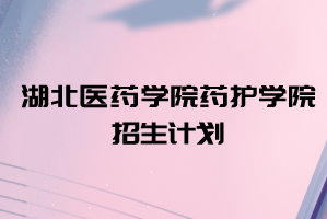 2021年湖北醫(yī)藥學(xué)院藥護學(xué)院普通專升本招生計劃