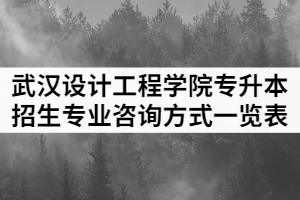 2021年武漢設(shè)計(jì)工程學(xué)院普通專升本各招生專業(yè)咨詢方式一覽表