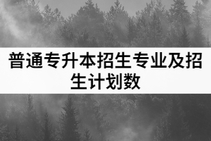 2021年武漢工程大學郵電與信息工程學院普通專升本招生專業(yè)和招生計劃數(shù)