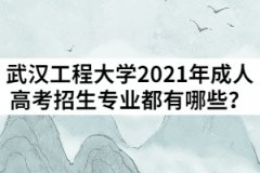 武漢工程大學(xué)2021年成人高考招生專業(yè)都有哪些？