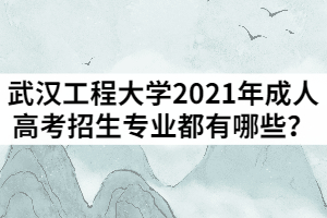 武漢工程大學(xué)2021年成人高考招生專業(yè)都有哪些？