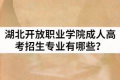 2021年湖北開放職業(yè)學(xué)院成人高考招生專業(yè)有哪些？