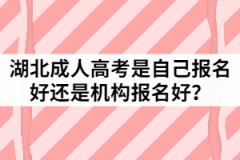 2021年湖北成人高考是自己報(bào)名好還是機(jī)構(gòu)報(bào)名好？