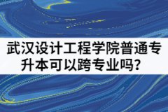 2021年武漢設(shè)計(jì)工程學(xué)院普通專(zhuān)升本可以跨專(zhuān)業(yè)嗎？該怎樣備考？