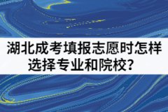 湖北成考填報志愿時怎樣選擇專業(yè)和院校？