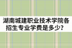 湖南城建職業(yè)技術(shù)學(xué)院2021年各招生專業(yè)學(xué)費(fèi)是多少？