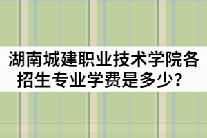 湖南城建職業(yè)技術(shù)學(xué)院2021年各招生專業(yè)學(xué)費(fèi)是多少？