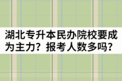 2021年湖北專升本民辦院校要成為主力？報(bào)考人數(shù)多嗎？