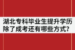 湖北專科畢業(yè)生提升學(xué)歷除了成考還有哪些方式？