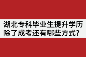 湖北?？飘厴I(yè)生提升學(xué)歷除了成考還有哪些提升方式？